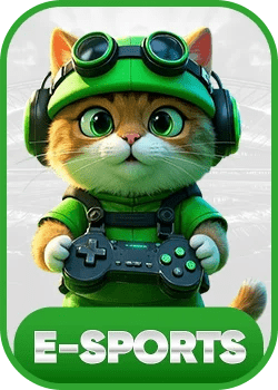 6ff icon 1