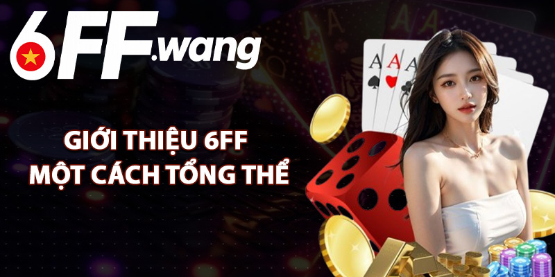 Giới Thiệu 6FF Một Cách Tổng Thể