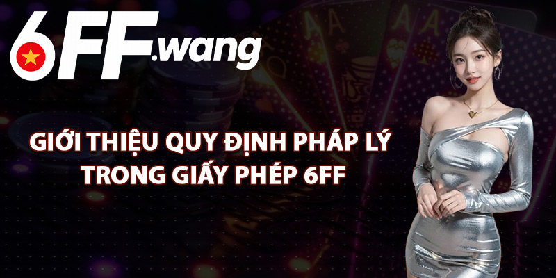 Giới Thiệu Quy Định Pháp Lý Trong Giấy Phép 6FF