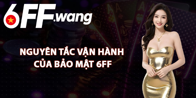 Nguyên Tắc Vận Hành Của Bảo Mật 6FF